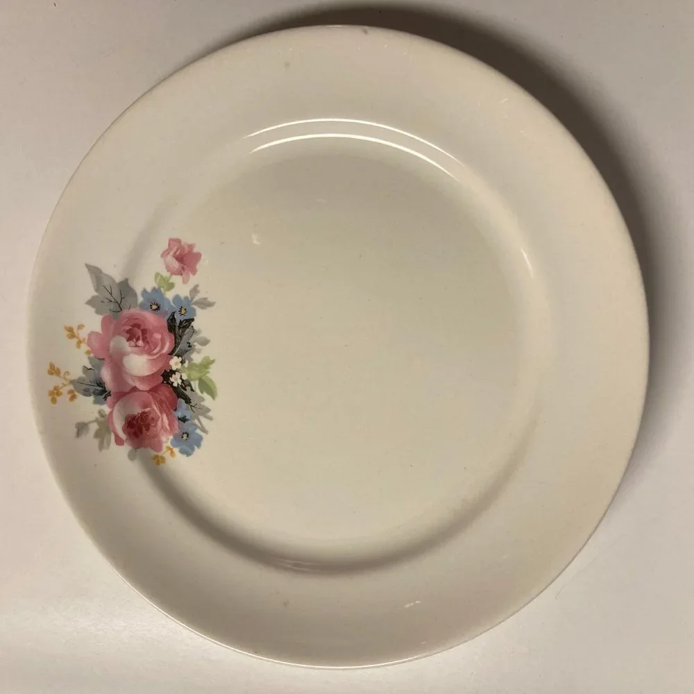 Vintage Dinner Plates (2) 9 Inches with Pink & Blue Flowers / Roses